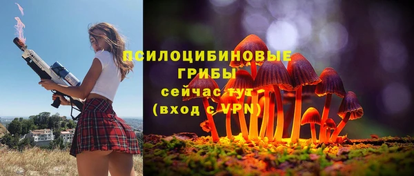 таблы Алексин